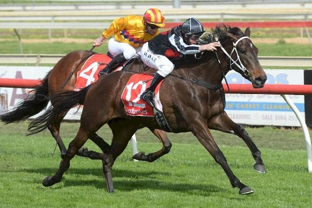 Miss Inbetween finds winning form