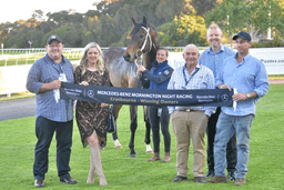 Picture of the author