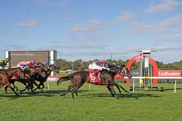 Picture of the author