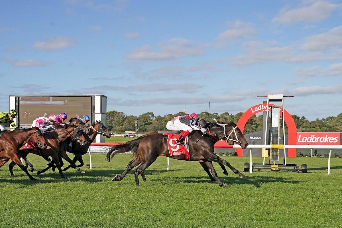 Picture of the author