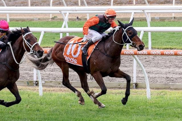 Russian Benefits scores Metro win on debut