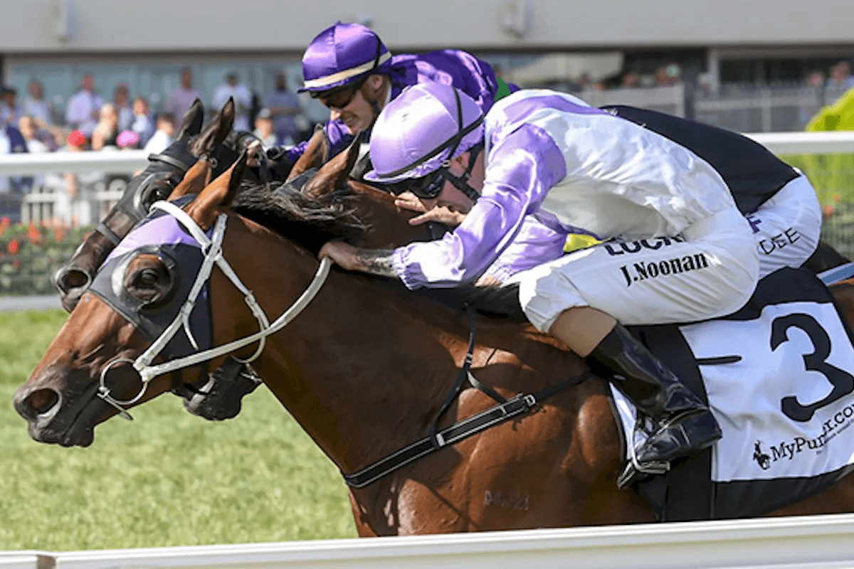 Picture of the author